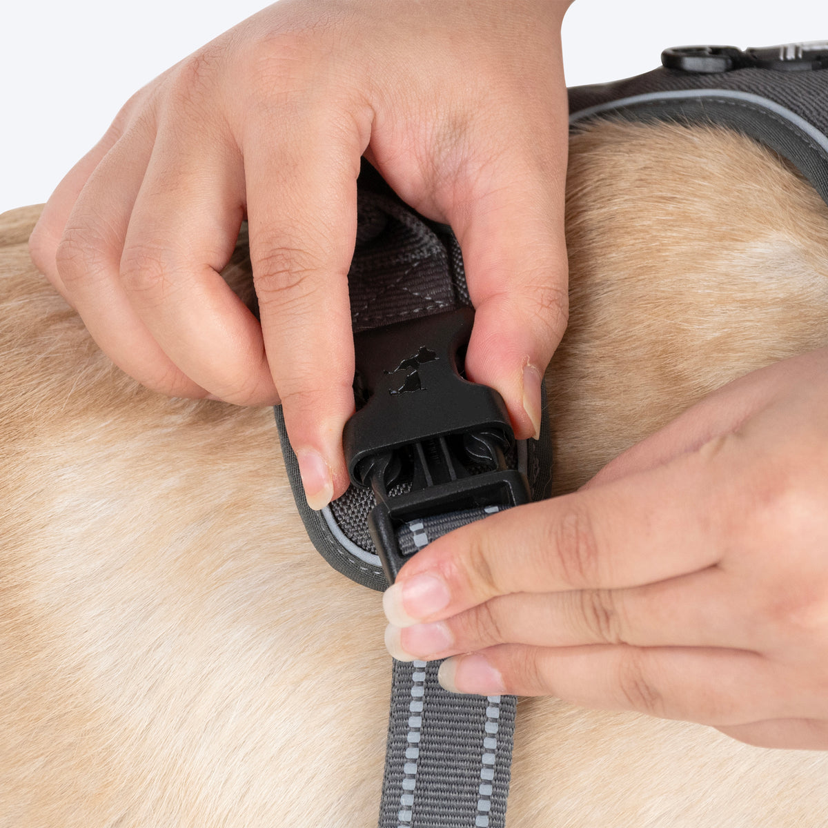 HUFT Xplorers Harness For Dog - Grey