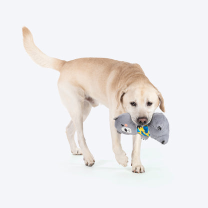 HUFT Sir Hug-A-Lot Toy For Dog