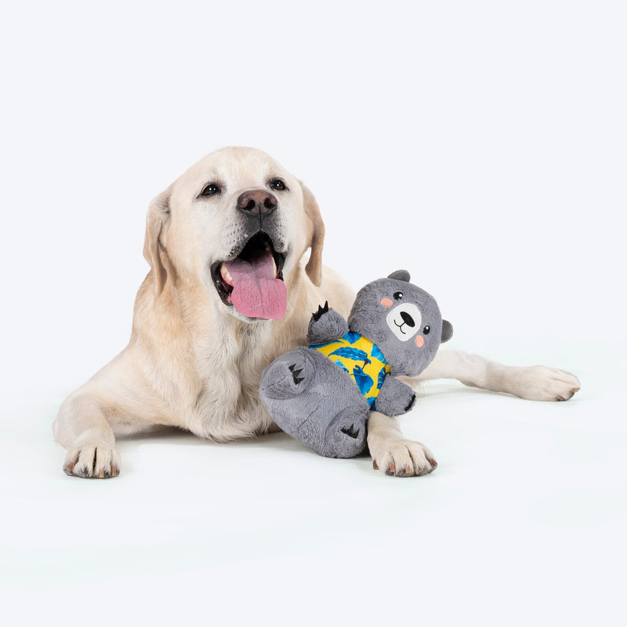 HUFT Sir Hug-A-Lot Toy For Dog