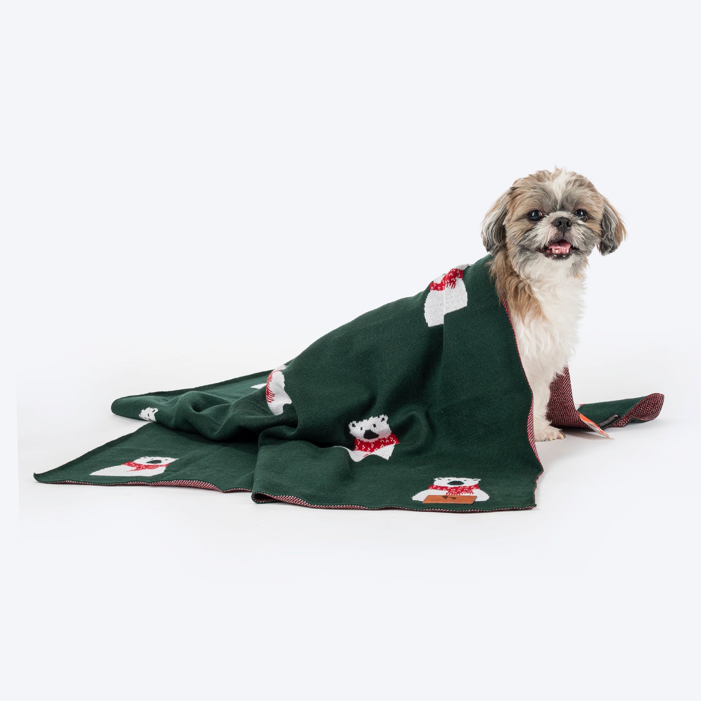 HUFT Pawlar Bear Blanket For Dog & Cat - Green