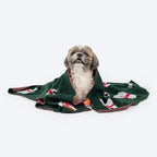 HUFT Pawlar Bear Blanket For Dog & Cat - Green