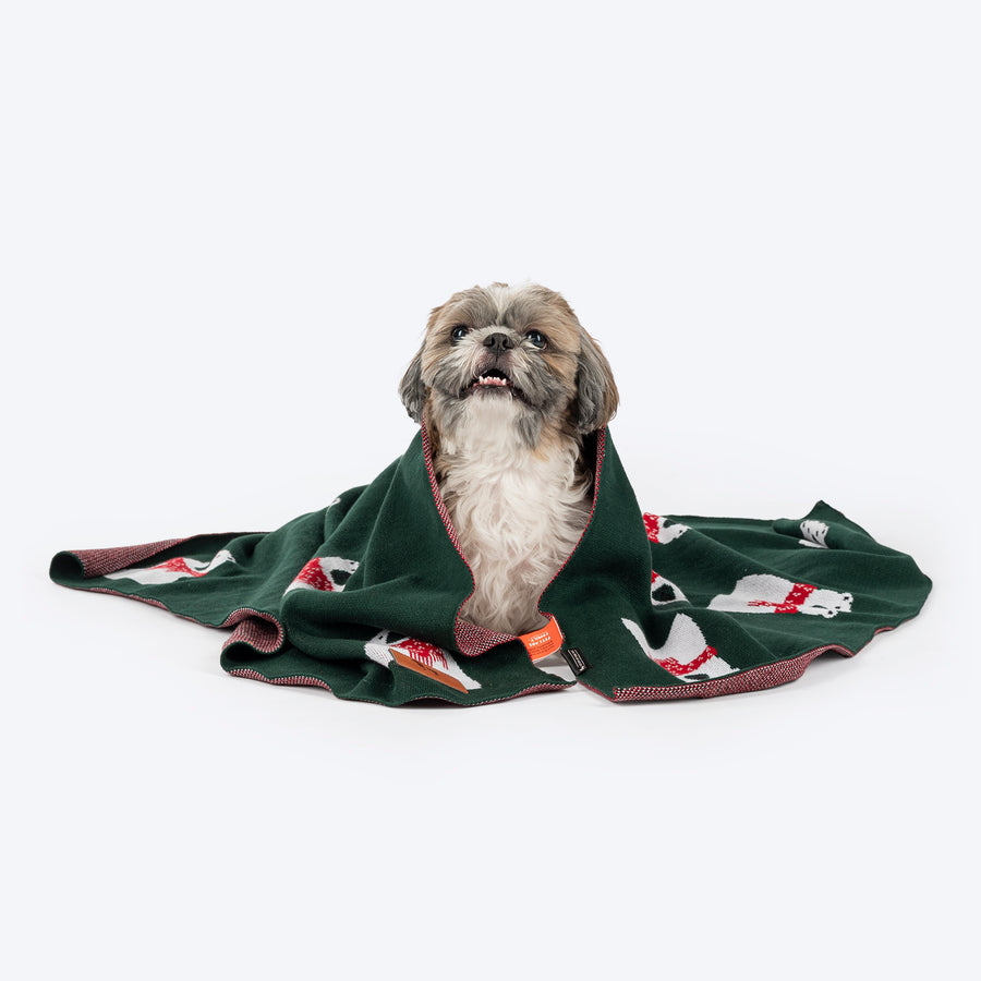 HUFT Pawlar Bear Blanket For Dog & Cat - Green