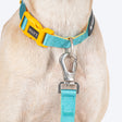 HUFT Dichromatic Leash For Dog - Turquoise & Orange