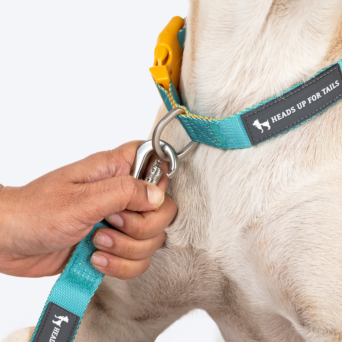 HUFT Dichromatic Leash For Dog - Turquoise & Orange