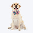 HUFT Pawsome Blossom Bow Tie With Collar For Dog - Green & Pink