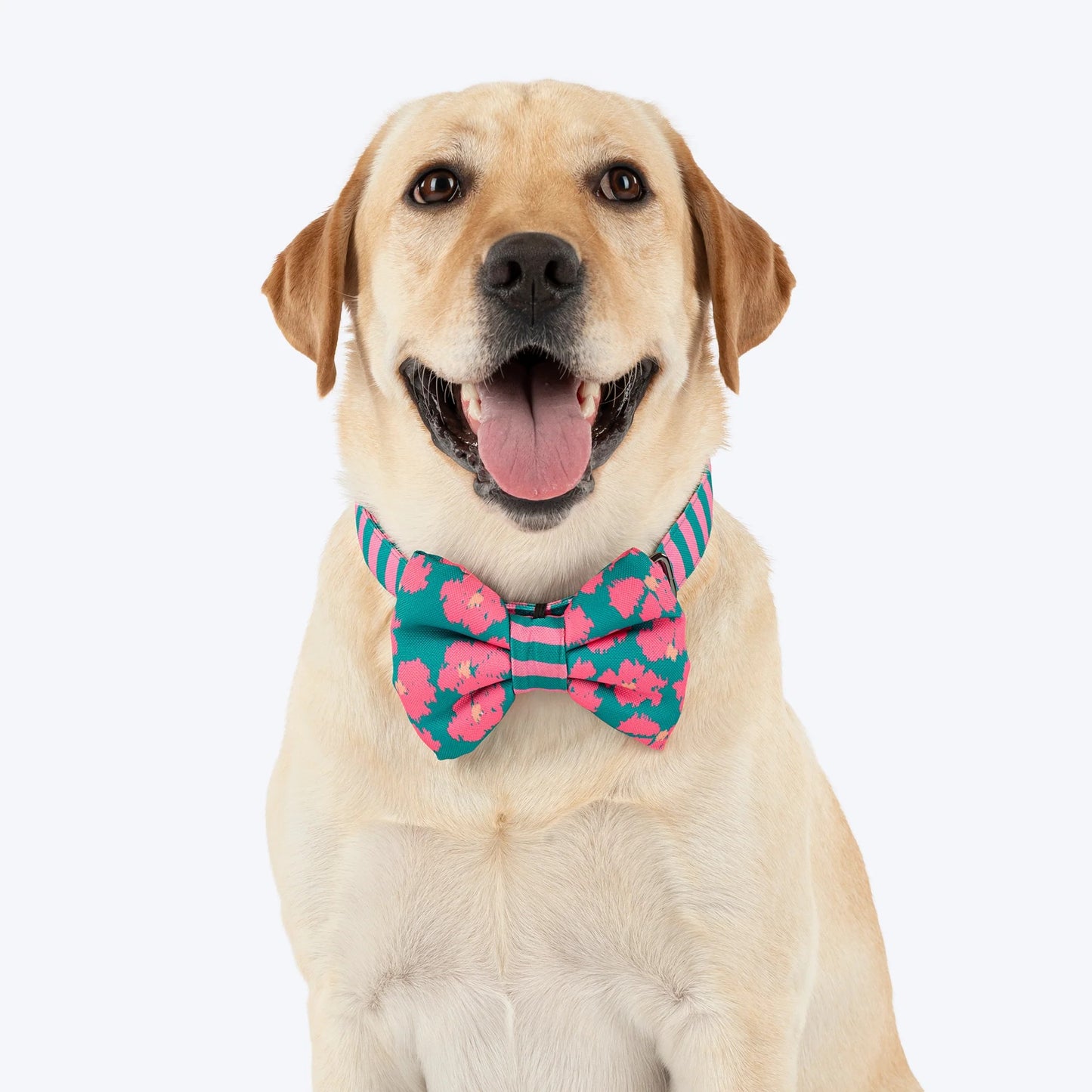 HUFT Pawsome Blossom Bow Tie With Collar For Dog - Green & Pink