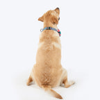 HUFT Pawsome Blossom Bow Tie With Collar For Dog - Green & Pink
