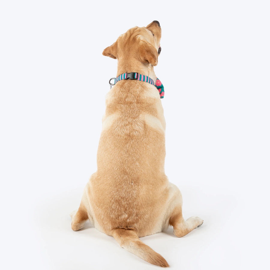 HUFT Pawsome Blossom Bow Tie With Collar For Dog - Green & Pink