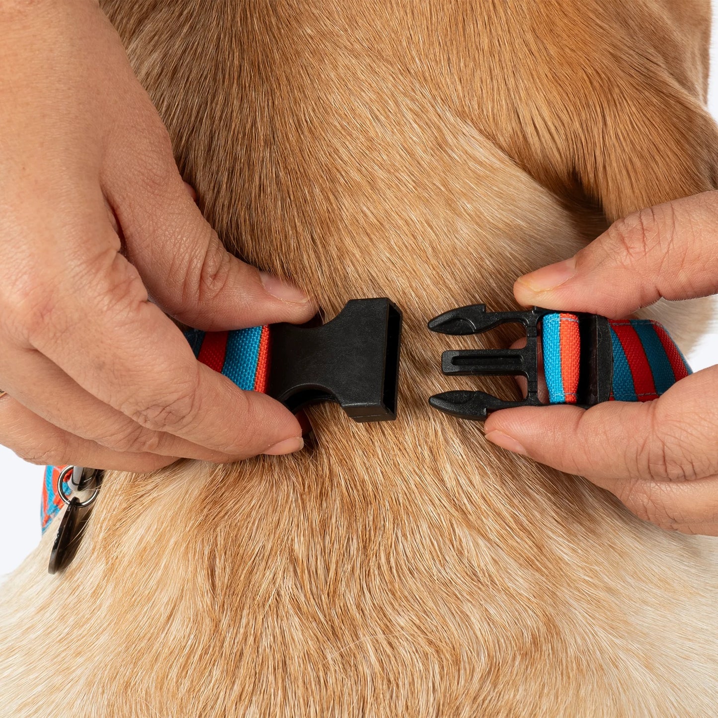 HUFT Summer Bloom Bow Tie With Collar For Dog - Blue