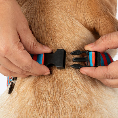 HUFT Summer Bloom Bow Tie With Collar For Dog - Blue