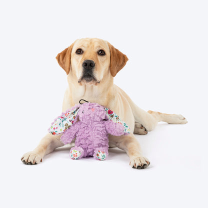 HUFT Bunty The Bunny Toy For Dog