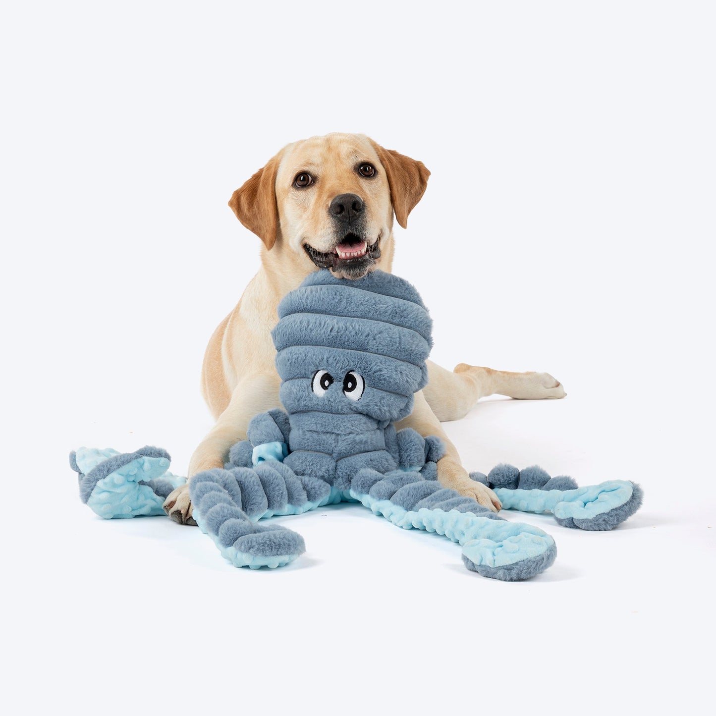 HUFT Mister Wiggles Toy For Dog