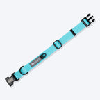 HUFT Basics Dog Collar - Blue_03