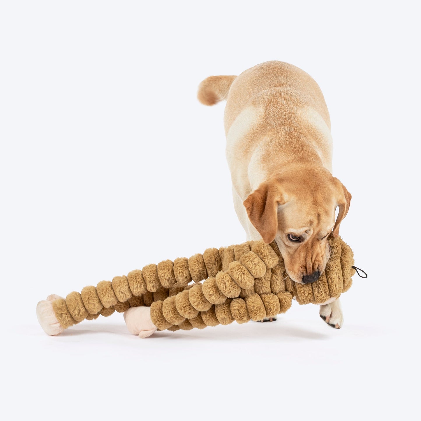 HUFT Mister Monkee Toy For Dog