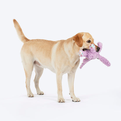 HUFT Bunty The Bunny Toy For Dog