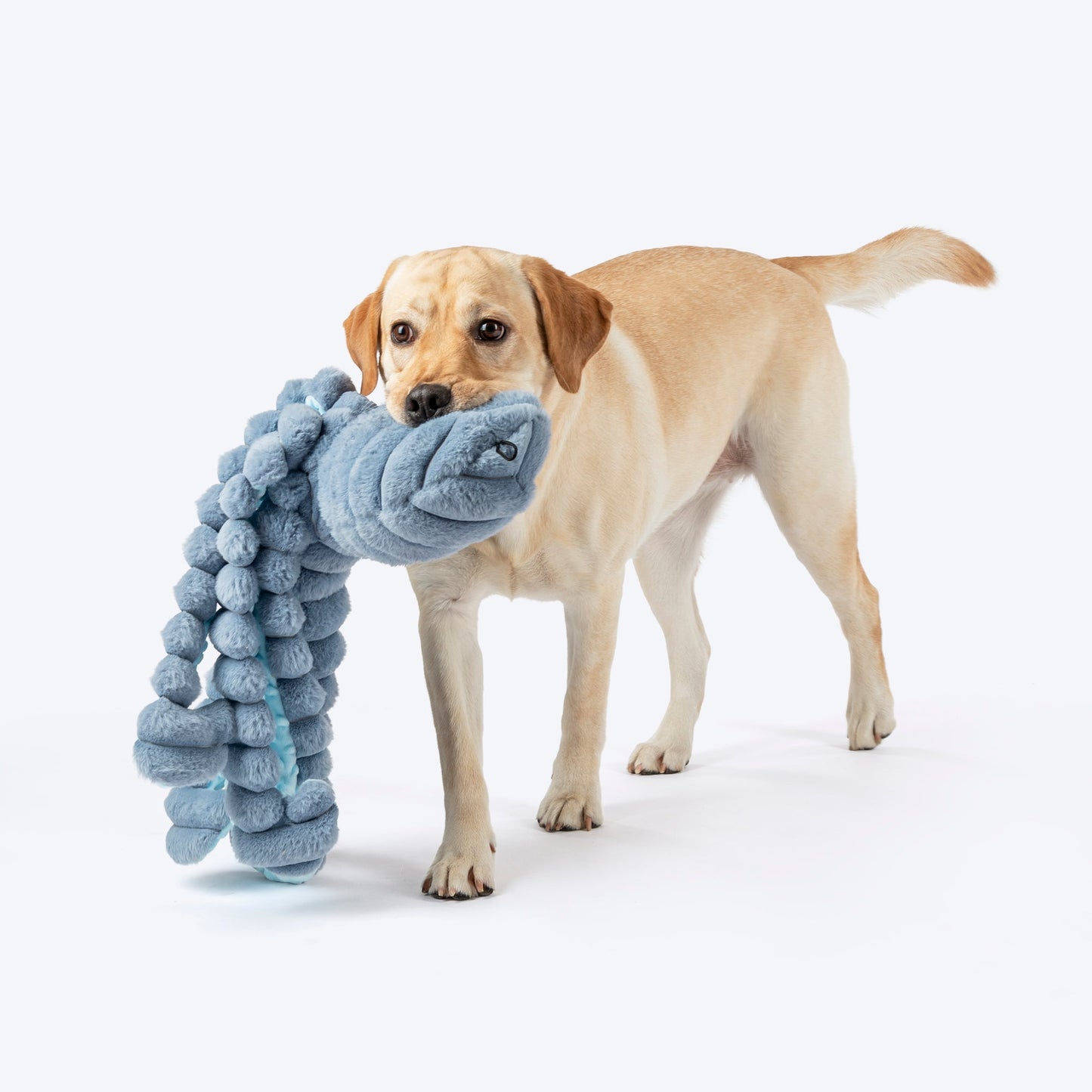 HUFT Mister Wiggles Toy For Dog
