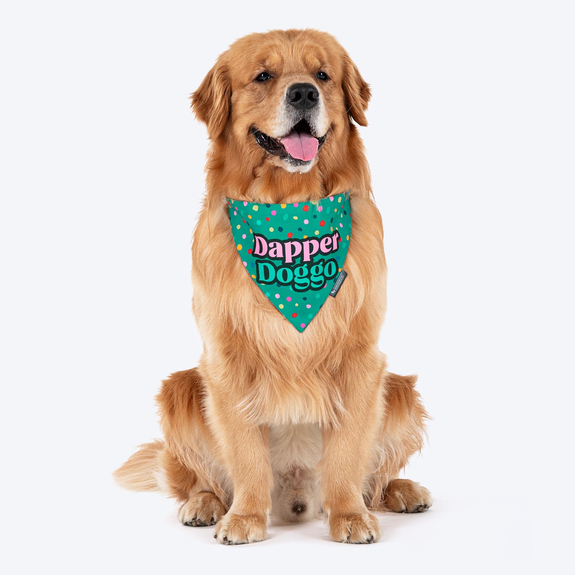 HUFT Dapper Doggo Printed Dog Bandana - Green - Heads Up For Tails