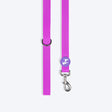 HUFT Hive Harmony Waterproof Collar And Leash Set For Dog - Purple