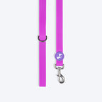 HUFT Hive Harmony Waterproof Collar And Leash Set For Dog - Purple