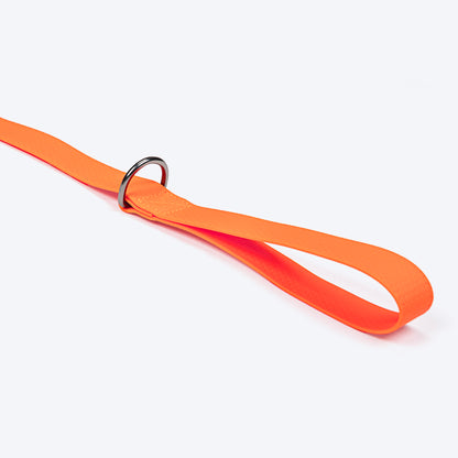 HUFT Hive Harmony Waterproof Collar And Leash Set For Dog - Orange