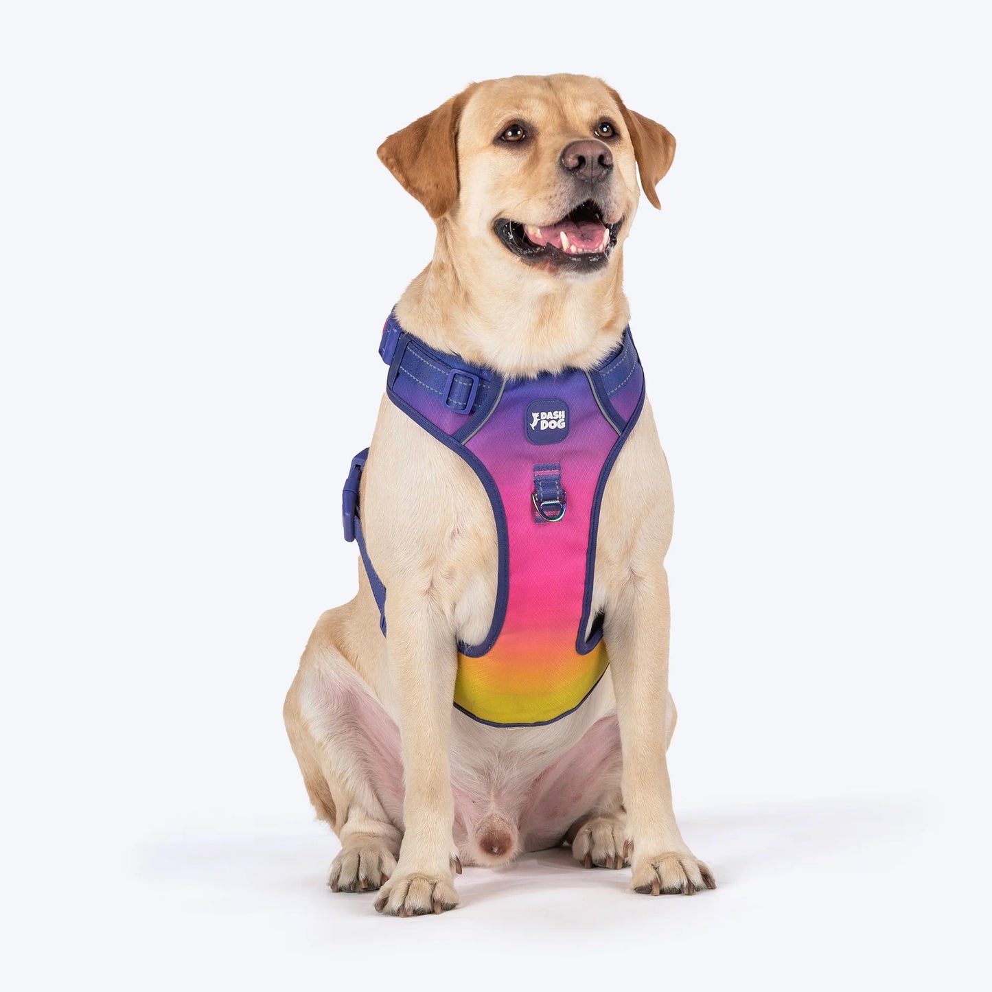 Dash Dog Flow Walk-Along Harness For Dog - Pink & Purple