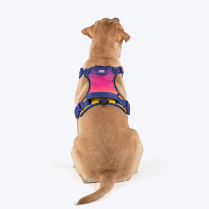 Dash Dog Flow Walk-Along Harness For Dog - Pink & Purple