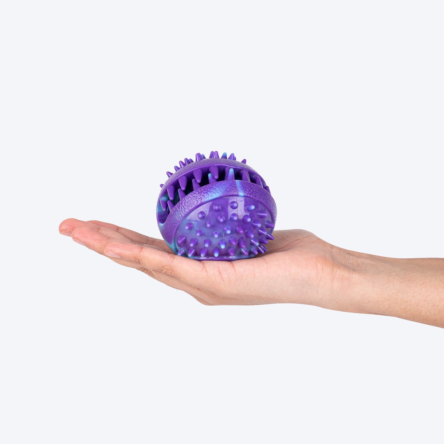 Dash Dog Crunch Munch Ball Toy For Dog - Purple & Blue