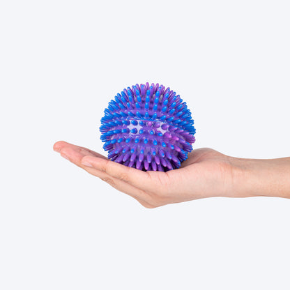 Dash Dog Spiky Ball Toy For Dog - Blue