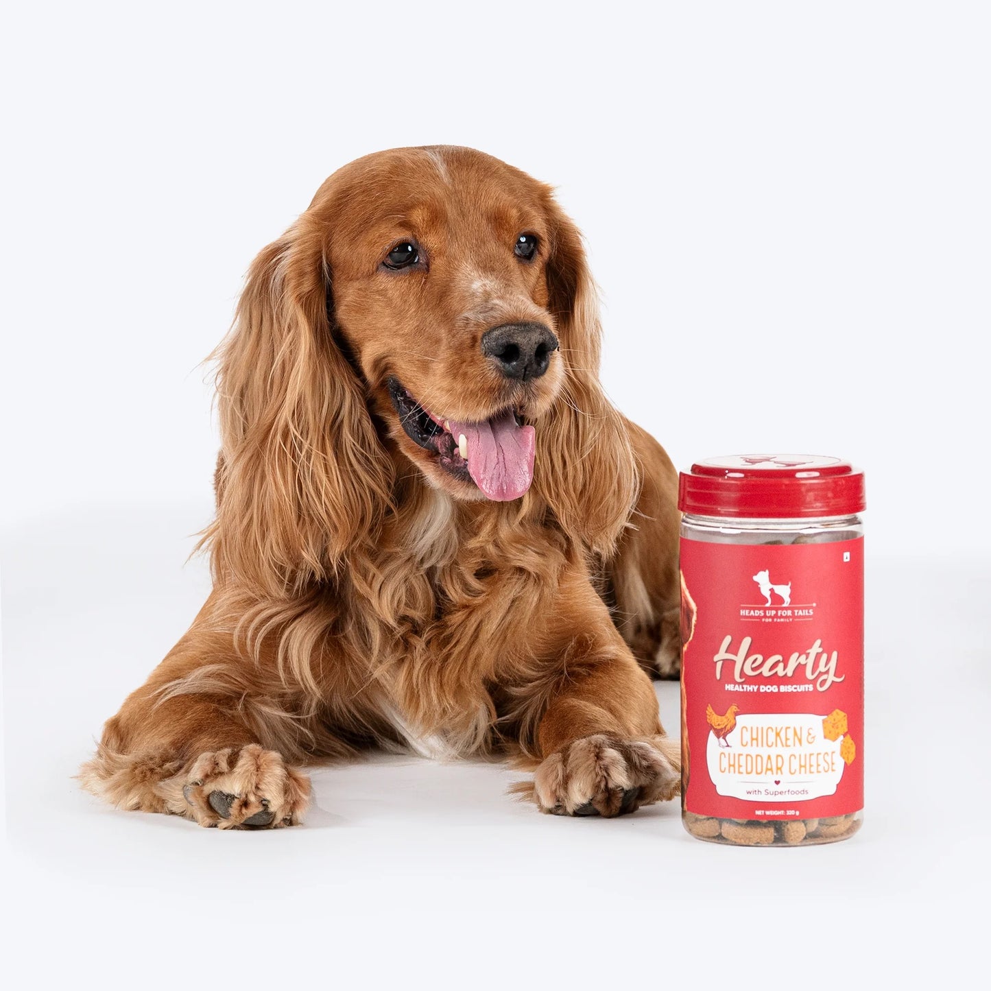 Hearty Chicken & Cheddar Cheese Healthy Dog Biscuits - 320 gm