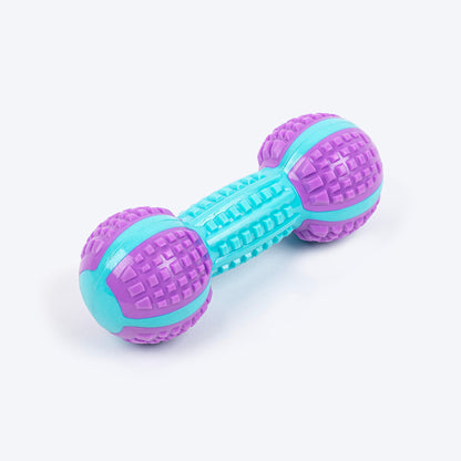 Dash Dog Gnaw & Go Squeaky Toy For Dog - Purple & Blue