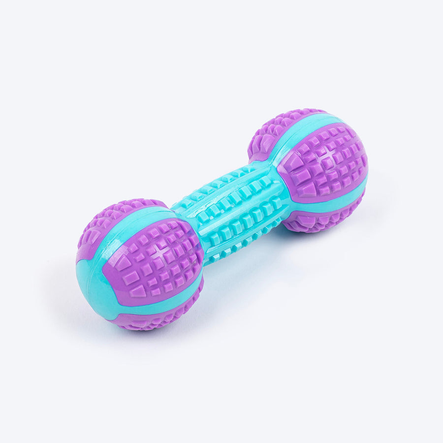 Dash Dog Gnaw & Go Squeaky Toy For Dog - Purple & Blue