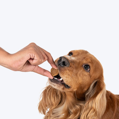 Hearty Chicken & Cheddar Cheese Healthy Dog Biscuits - 320 gm