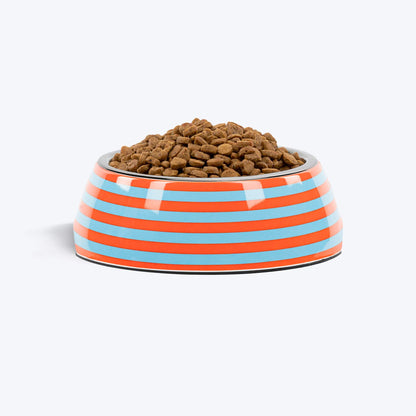 HUFT Happy Stripes Printed Melamine Bowl With Steel Insert For Dog - Blue & Orange