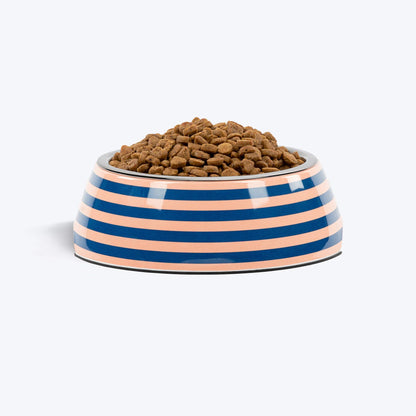 HUFT Happy Stripes Printed Melamine Bowl With Steel Insert For Dog - Blue & Peach