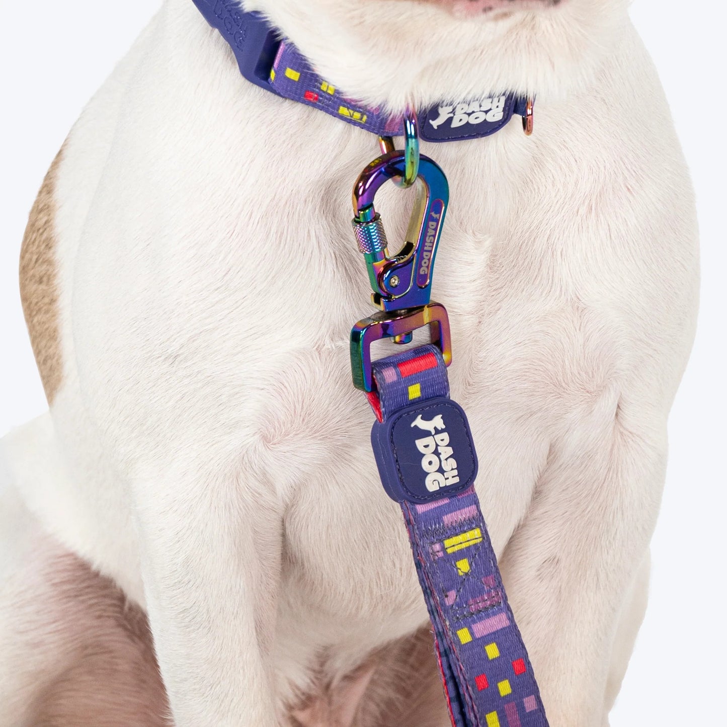 Dash Dog Pixel Dual Handle Leash For Dog - Purple