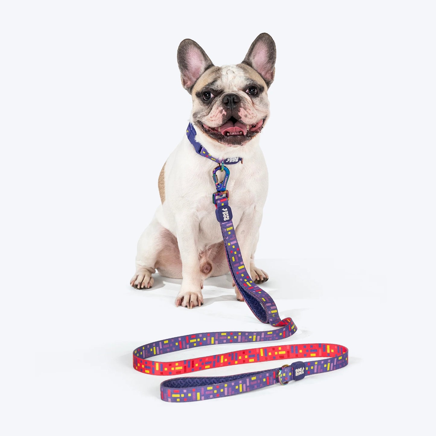 Dash Dog Pixel Dual Handle Leash For Dog - Purple