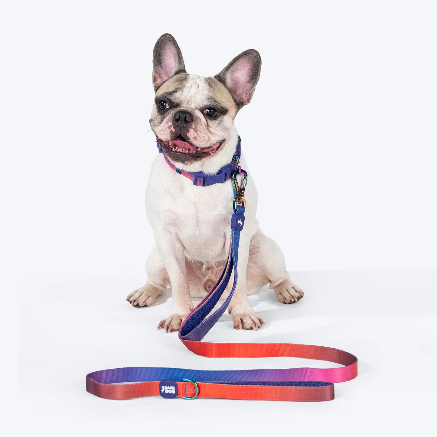 Dash Dog Flow Dual Handle Leash For Dog - Red & Purple