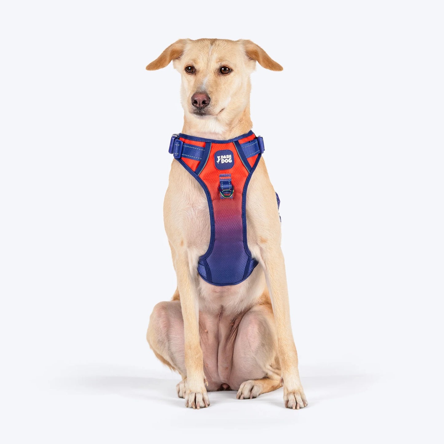 Dash Dog Flow Walk-Along Harness For Dog - Red & Purple