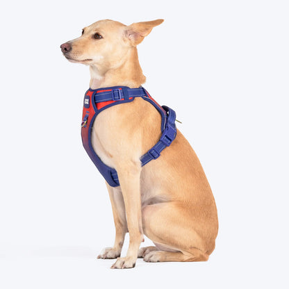 Dash Dog Flow Walk-Along Harness For Dog - Red & Purple