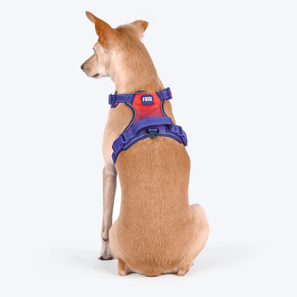 Dash Dog Flow Walk-Along Harness For Dog - Red & Purple