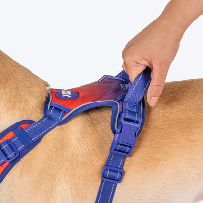 Dash Dog Flow Walk-Along Harness For Dog - Red & Purple