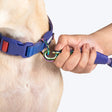 Dash Dog Flow Padded Collar For Dog - Red & Purple
