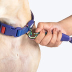 Dash Dog Flow Padded Collar For Dog - Red & Purple
