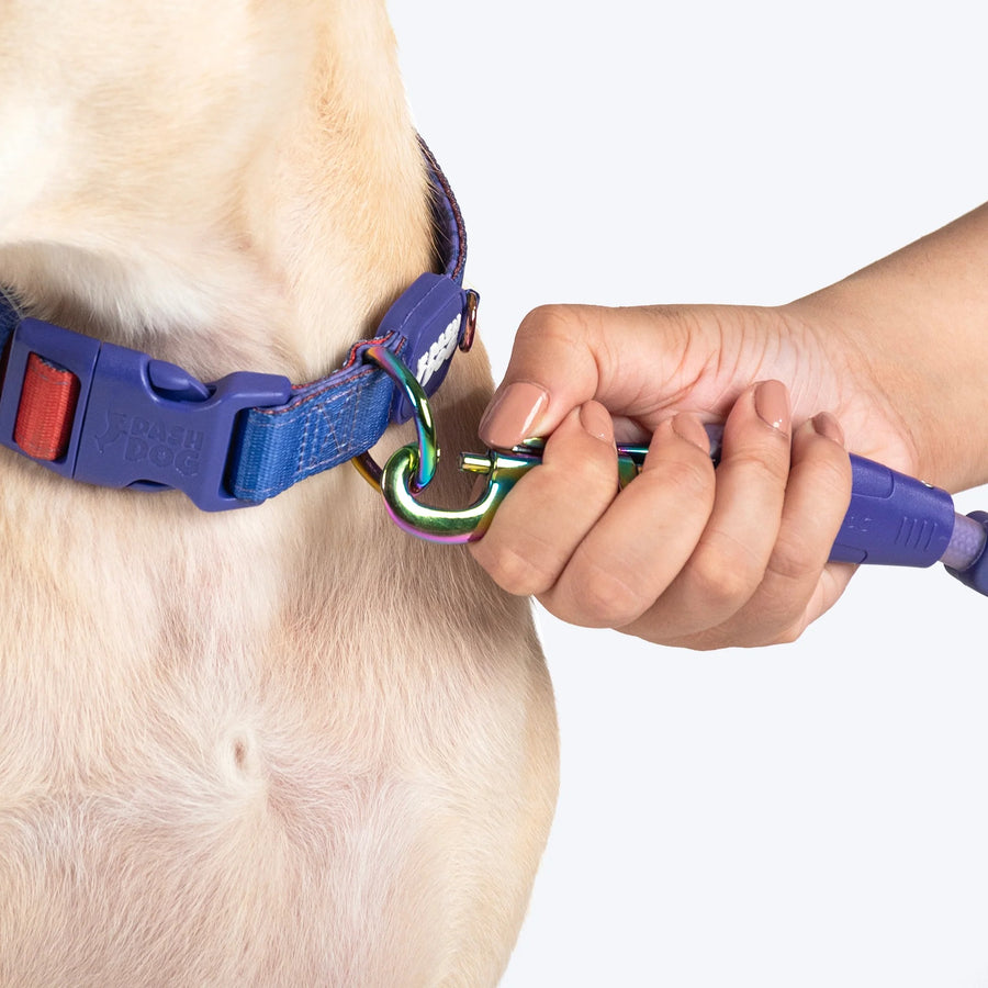 Dash Dog Flow Padded Collar For Dog - Red & Purple