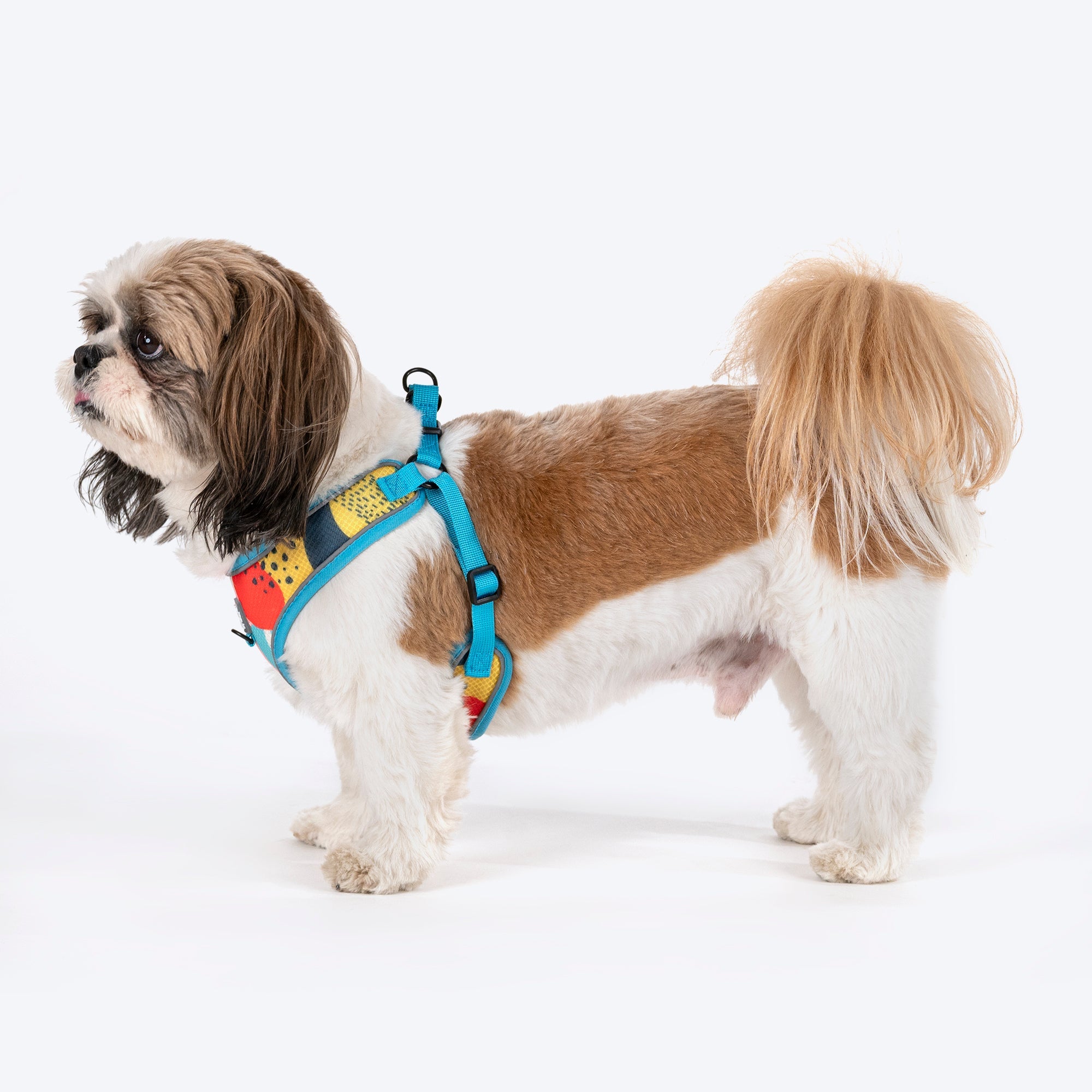 3 peaks step in dog harness hotsell