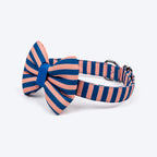HUFT Happy Stripes Bow Tie With Collar For Dog - Blue & Peach