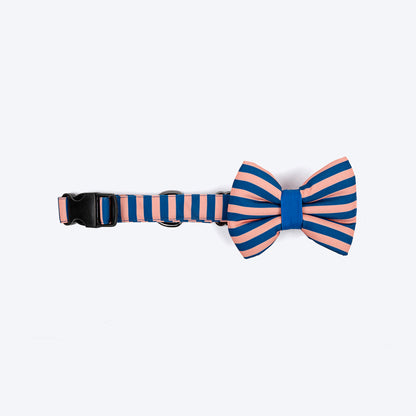 HUFT Happy Stripes Bow Tie With Collar For Dog - Blue & Peach