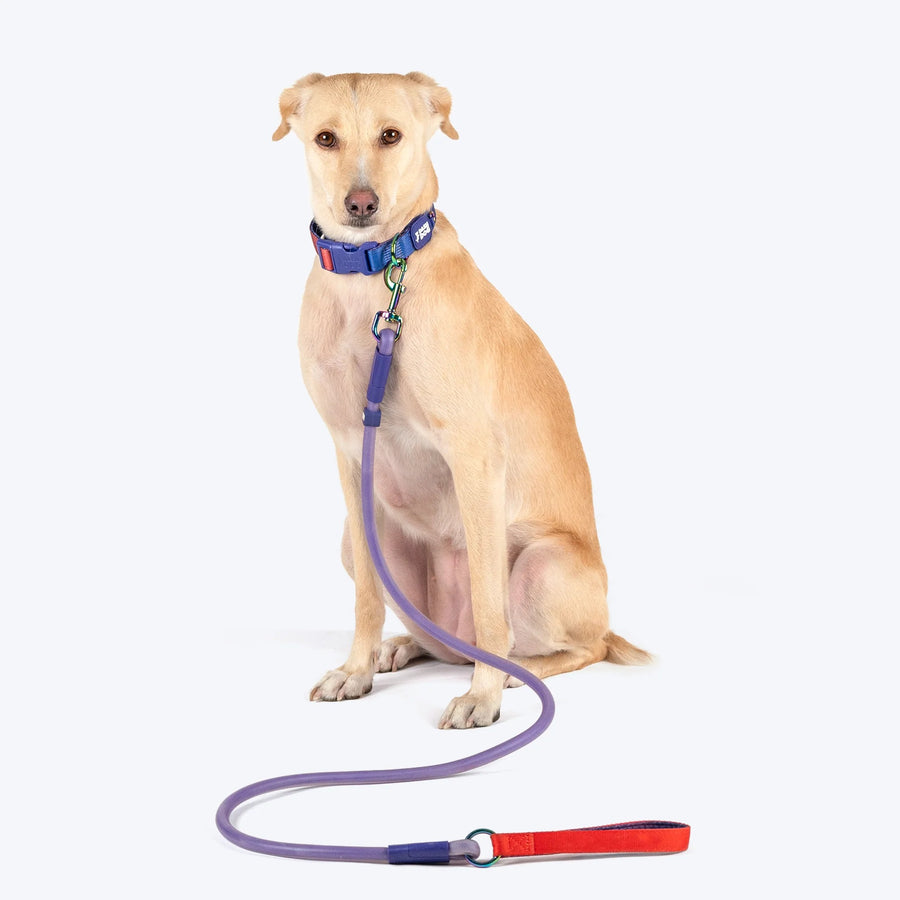 Dash Dog Zoom Easy Leash For Dog - Purple