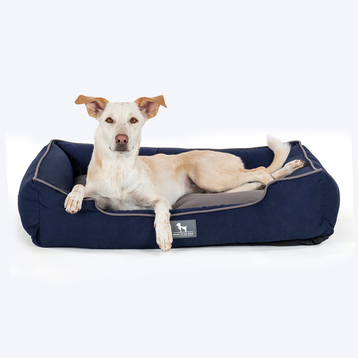 HUFT Classic Lounger Dog Bed - Grey With Navy