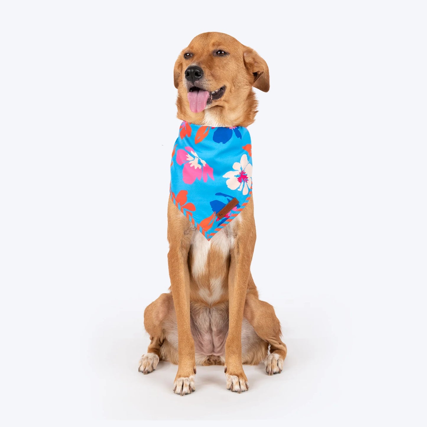 HUFT Summer Bloom Knot Bandana For Dog - Blue